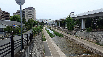 p5160582_thumb.jpg