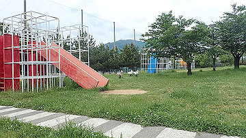 p5160584_thumb.jpg