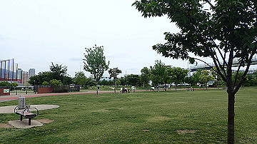 p5160587_thumb.jpg