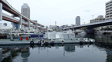 p5160595_thumb.jpg