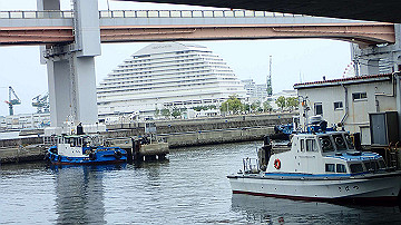 p5160597_thumb.jpg