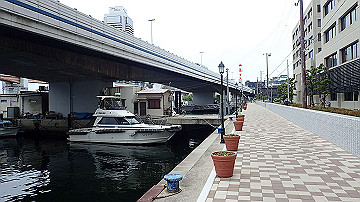 p5160598_thumb.jpg