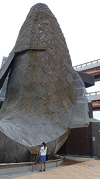 p5160603_thumb.jpg
