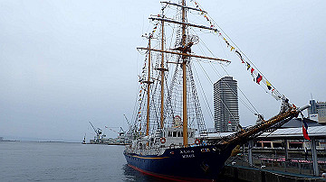 p5160612_thumb.jpg
