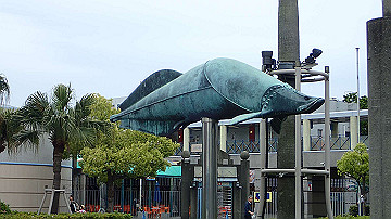 p5160629_thumb.jpg