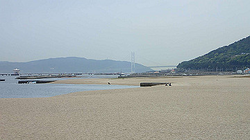 p5160636_thumb.jpg