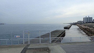 p5160689_thumb.jpg