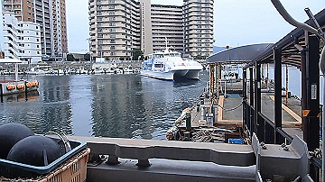 p5160701_x264.mp4_thumb.jpg
