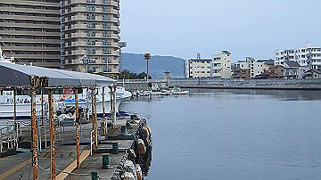 p5160702_x264.mp4_thumb.jpg