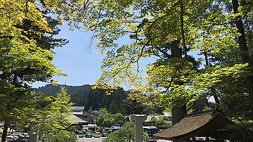 img_7710_thumb.jpg