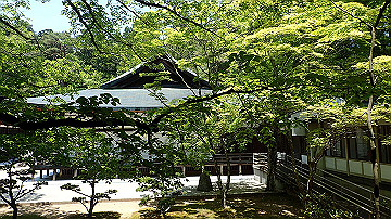 p5300536_thumb.jpg
