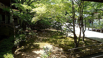 p5300538_thumb.jpg