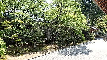 p5300540_thumb.jpg