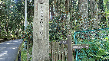 p5300554_thumb.jpg
