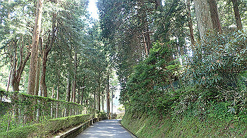 p5300556_thumb.jpg