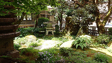 p5300567_thumb.jpg