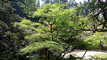 p5300582_thumb.jpg