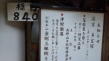 p5300599_thumb.jpg