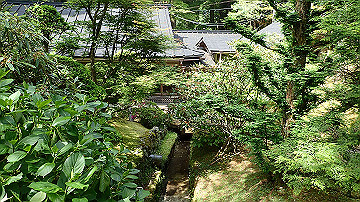 p5300607_thumb.jpg