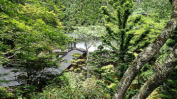 p5300608_thumb.jpg