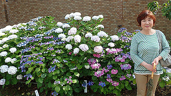 p6080588_thumb.jpg