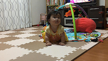 2017072803_thumb.jpg