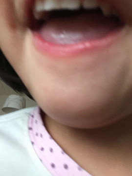 img_8091_thumb.jpg