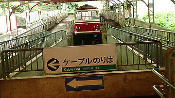 p7310615_thumb.jpg