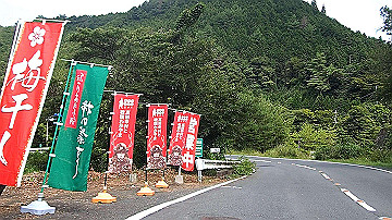 p7310639.mov_thumb.jpg