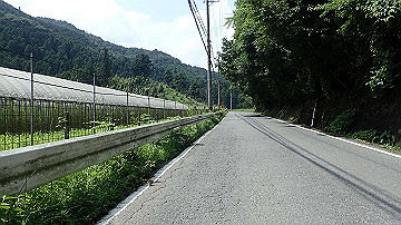 p7310644_thumb.jpg