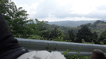 p7310679_thumb.jpg