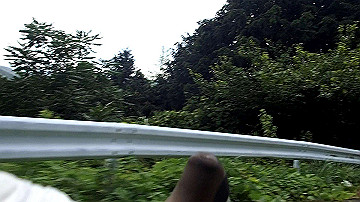 p7310680.mov_thumb.jpg