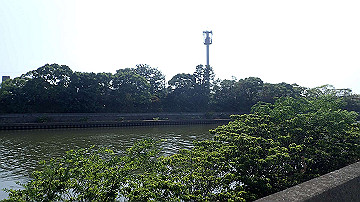 p7310727_thumb.jpg