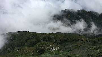 img_8321_thumb.jpg