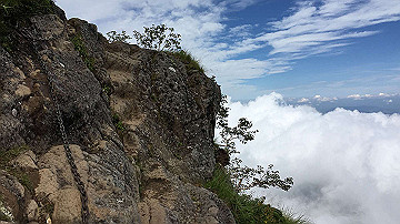 img_8322_thumb.jpg