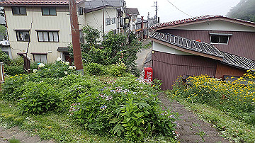 p8250748_thumb.jpg