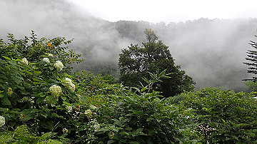 p8250750_thumb.jpg