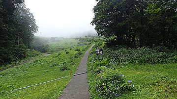 p8250753_thumb.jpg