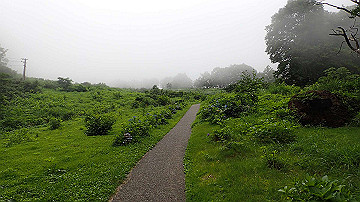 p8250755_thumb.jpg