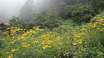 p8250766_thumb.jpg