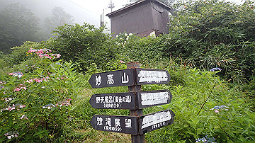 p8250767_thumb.jpg