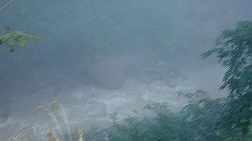 p8260794_thumb.jpg