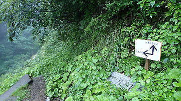 p8260799_thumb.jpg
