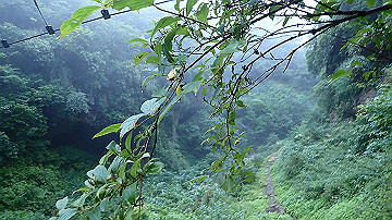 p8260802_thumb.jpg