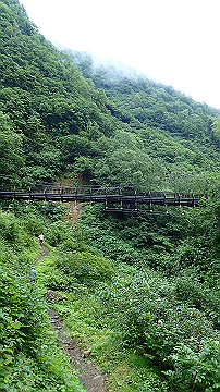p8260826_thumb.jpg