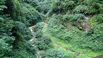 p8260831_thumb.jpg
