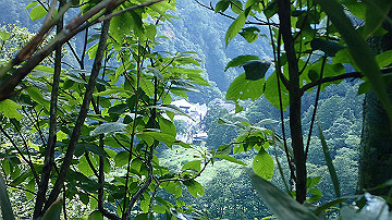 p8260852_thumb.jpg