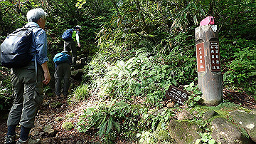 p8260853_thumb.jpg