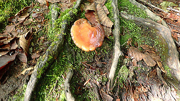 p8260855_thumb.jpg
