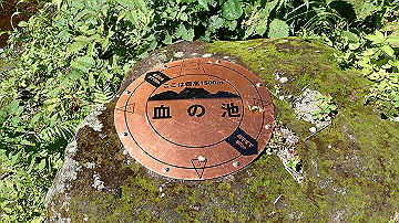 p8260864_thumb.jpg